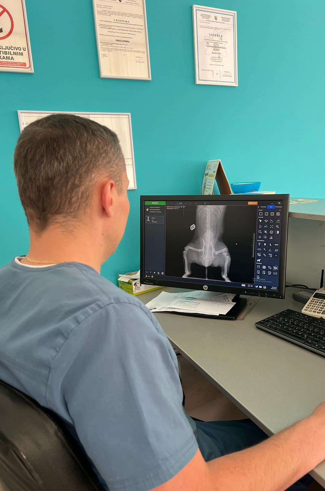 Veterinar pregleda digitalni rendgenski snimak